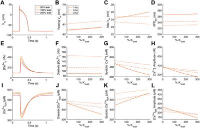 Effects of Sarcolemmal Background Ca2+ Entry and Sarcoplasmic Ca2+ Leak Currents on Electrophysiology and Ca2+ Transients in Human Ventricular Cardiomyocytes: A Computational Comparison